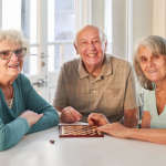 Sindnapi - Sindicato Nacional dos Aposentados, Pensionistas e Idosos