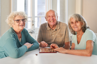 Sindnapi - Sindicato Nacional dos Aposentados, Pensionistas e Idosos