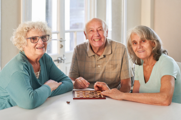 Sindnapi - Sindicato Nacional dos Aposentados, Pensionistas e Idosos