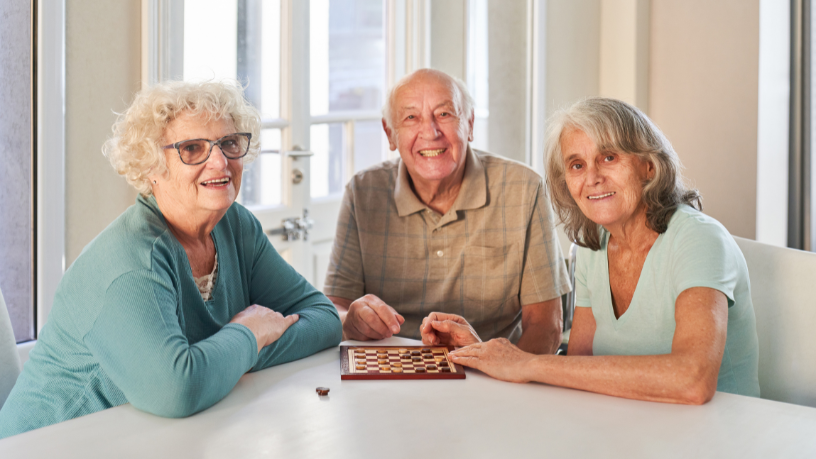 Sindnapi - Sindicato Nacional dos Aposentados, Pensionistas e Idosos