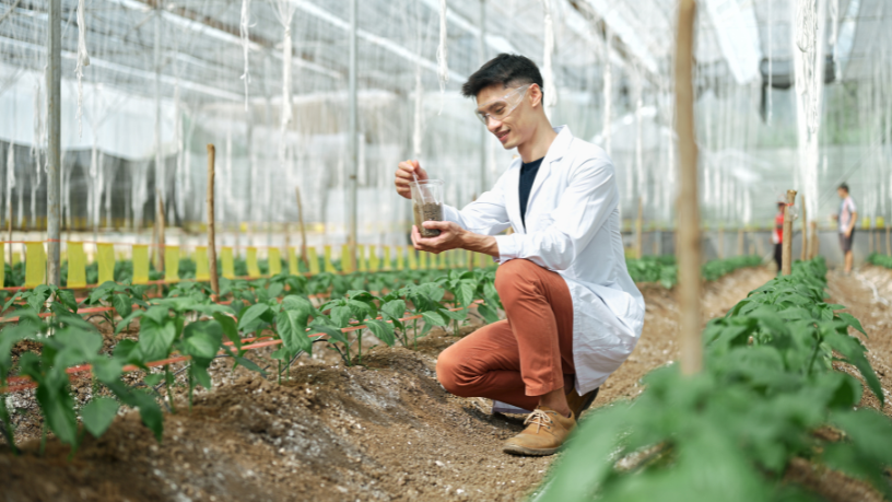 Alfredo Moreira Filho