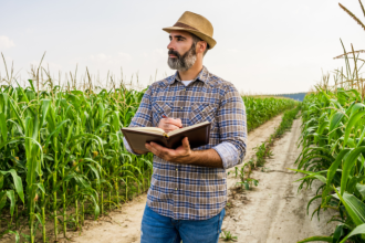 Alfredo Moreira Filho